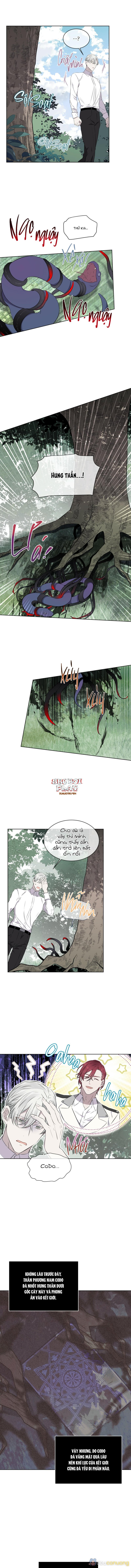 Rừng Biển Chapter 14 - Page 3