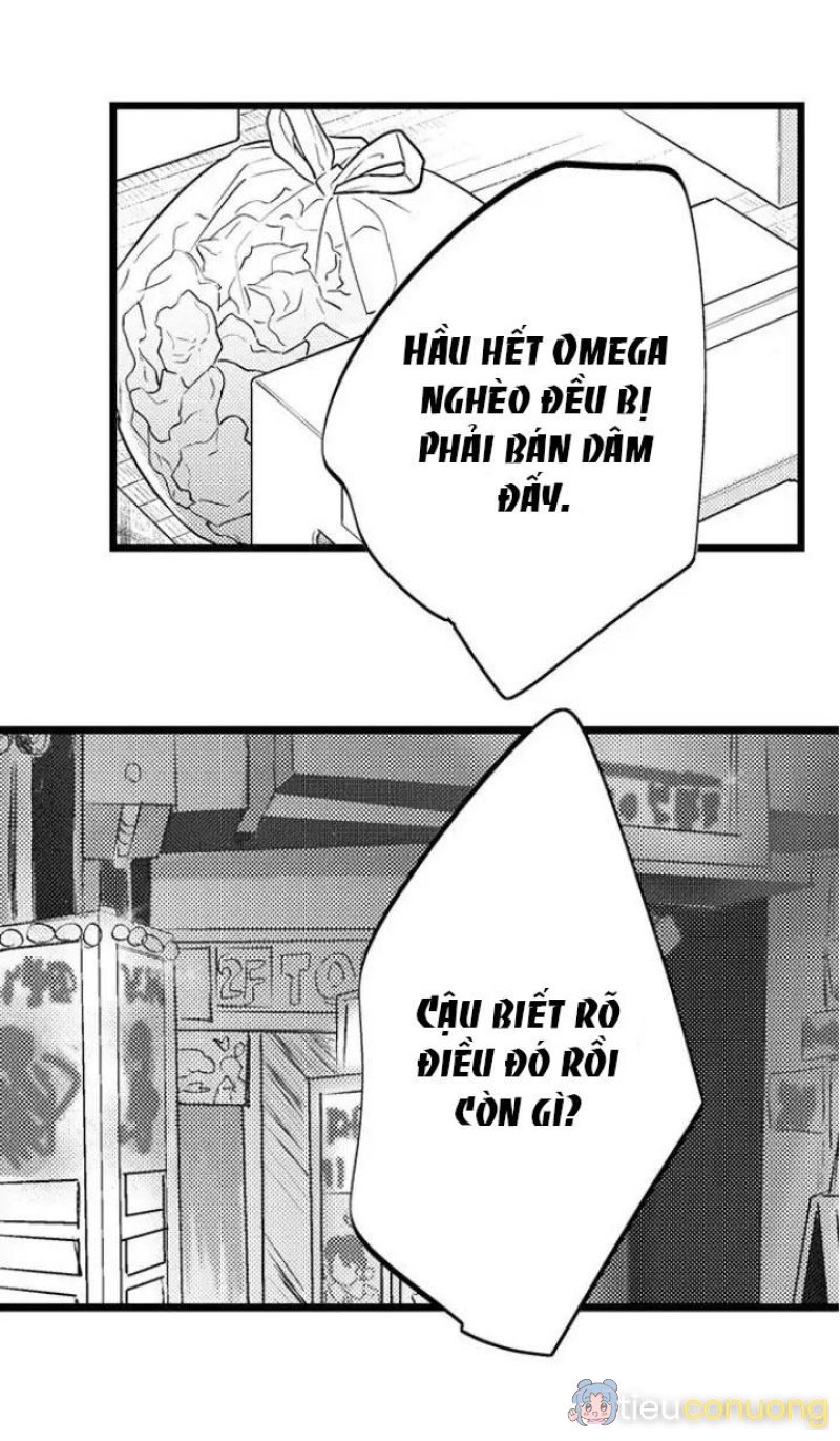 Ly Hôn Đi, Hỡi Ngài Alpha Chapter 9 - Page 9