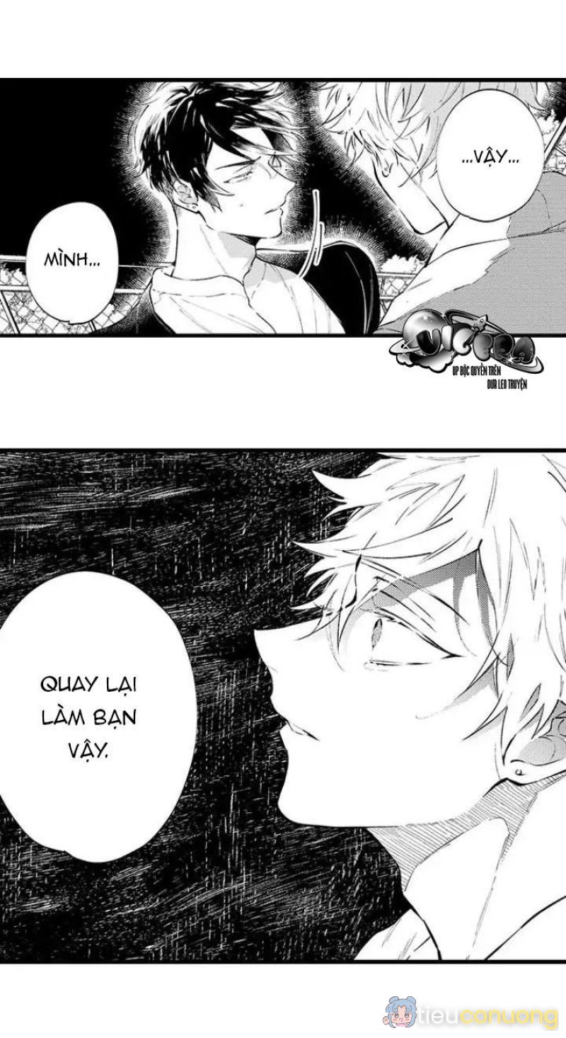 Ly Hôn Đi, Hỡi Ngài Alpha Chapter 12 - Page 7