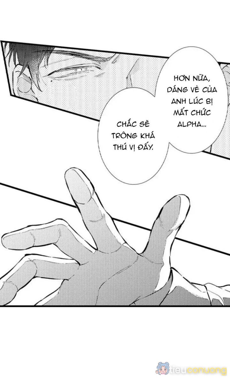 Ly Hôn Đi, Hỡi Ngài Alpha Chapter 7 - Page 7