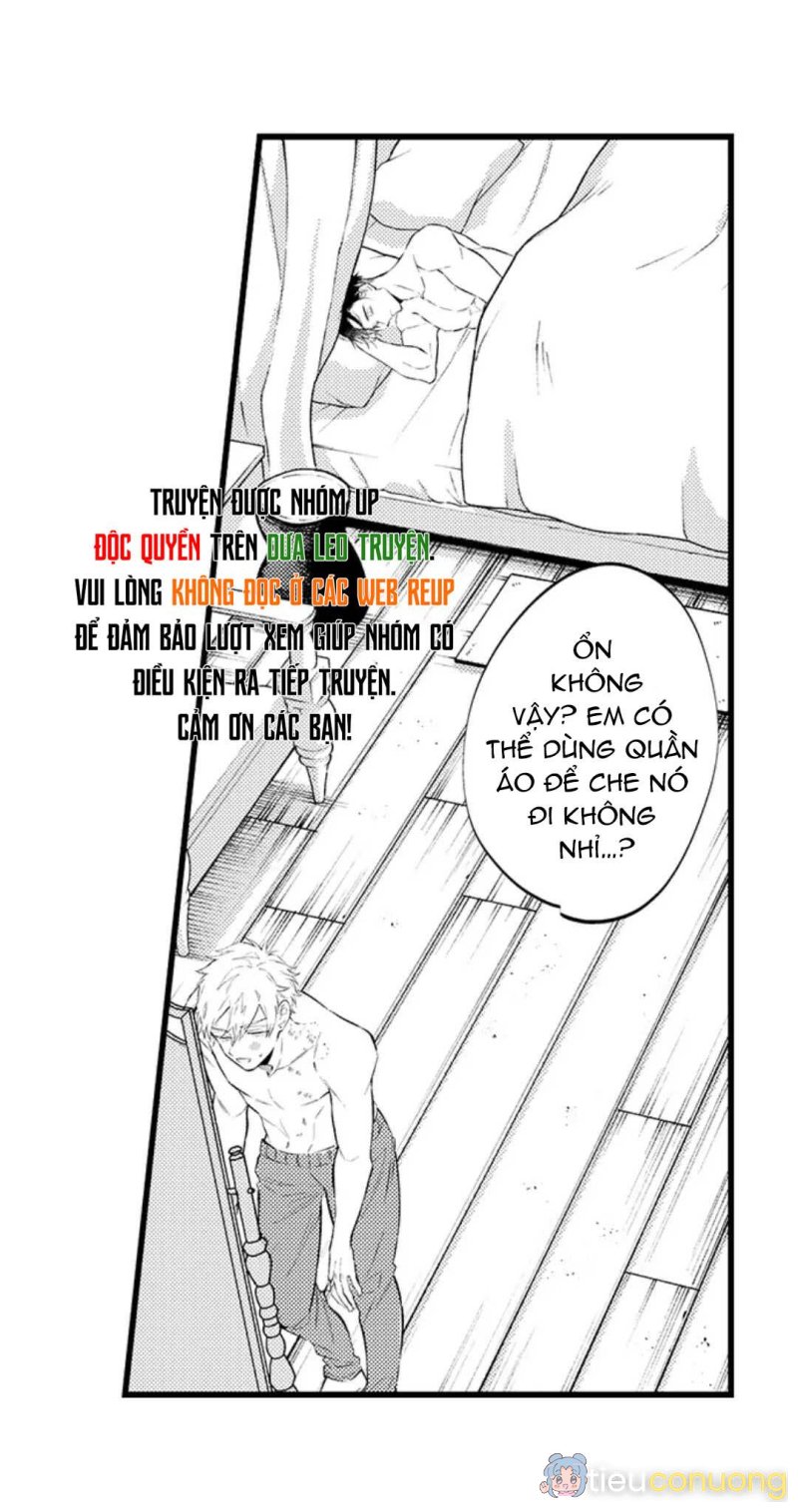 Ly Hôn Đi, Hỡi Ngài Alpha Chapter 22 - Page 17