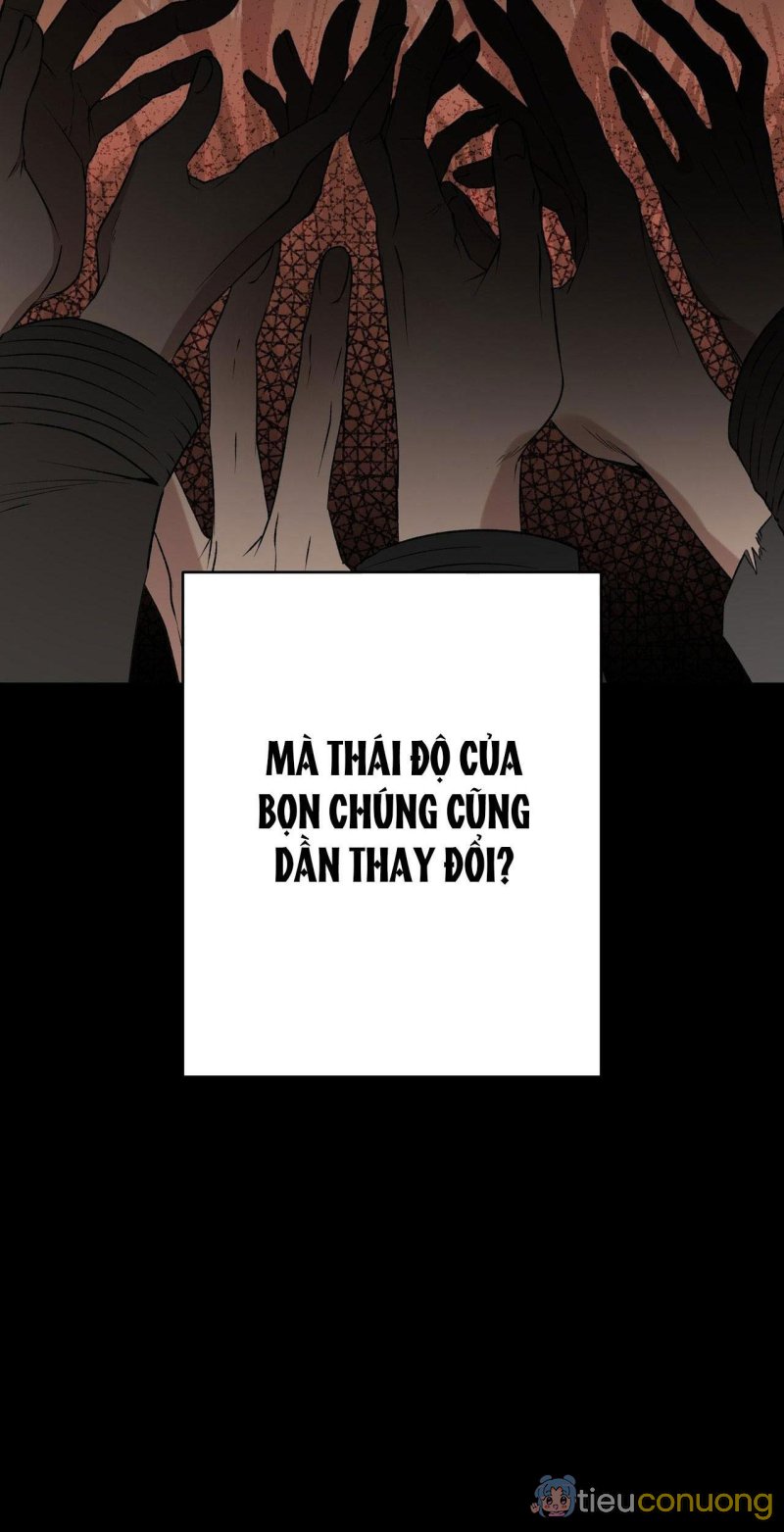 HỒNG NGỌC GIỮA NỀN TUYẾT TRẮNG Chapter 5 - Page 8