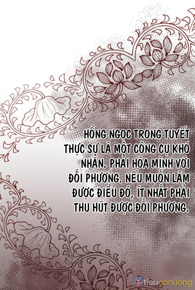 HỒNG NGỌC GIỮA NỀN TUYẾT TRẮNG Chapter 1 - Page 12