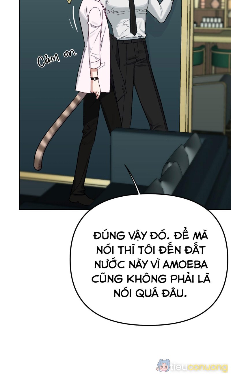 THỎ NHỎ XUẤT TINH TRONG 3 GIÂY (END) Chapter 2 - Page 48