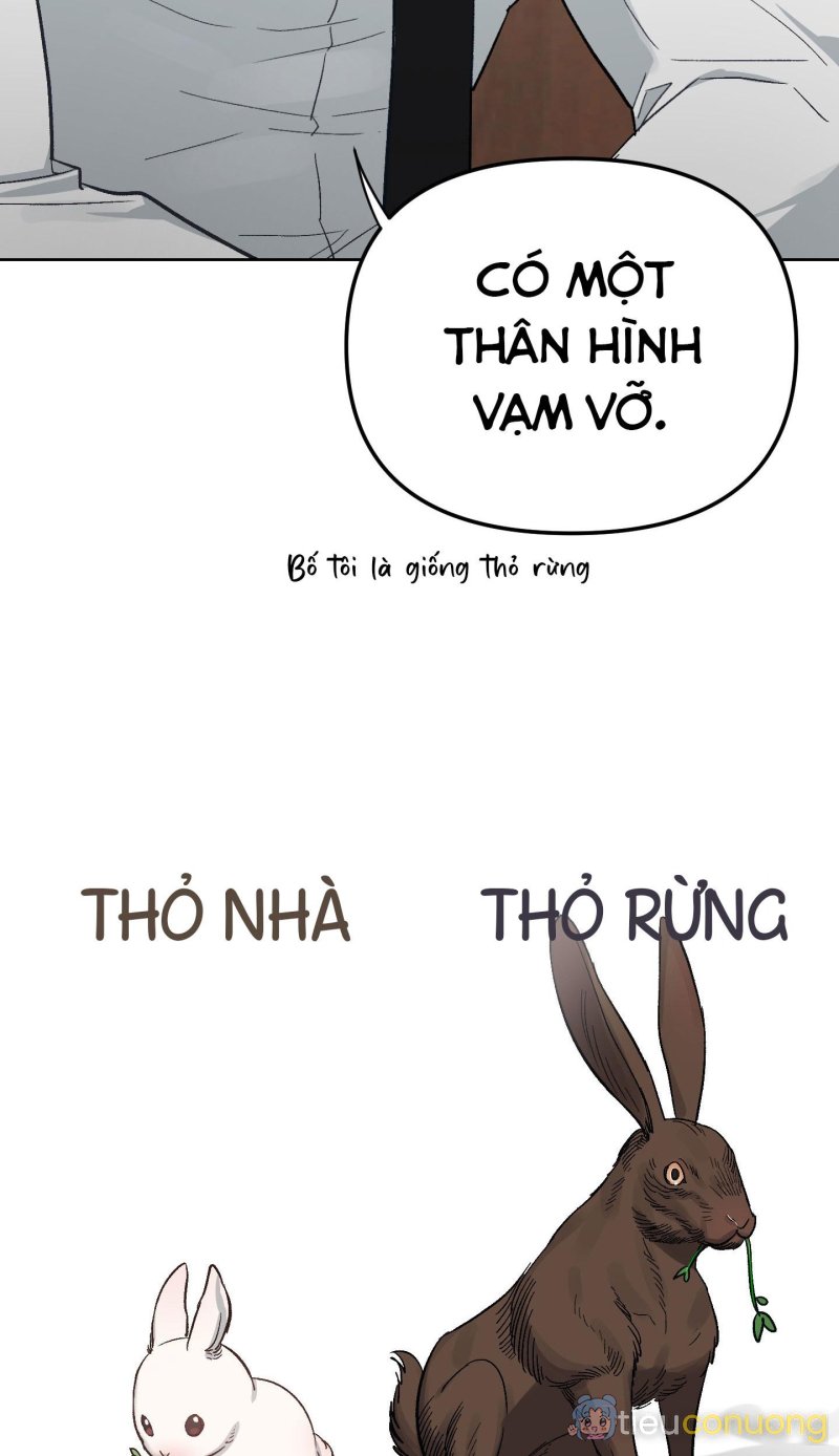 THỎ NHỎ XUẤT TINH TRONG 3 GIÂY (END) Chapter 2 - Page 87