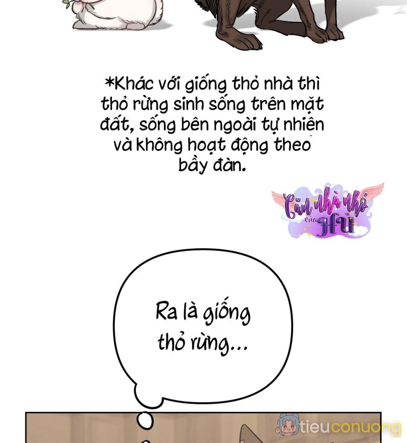 THỎ NHỎ XUẤT TINH TRONG 3 GIÂY (END) Chapter 2 - Page 88