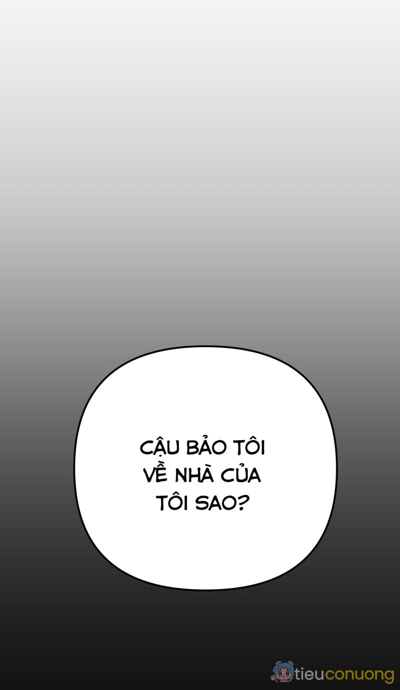 THỎ NHỎ XUẤT TINH TRONG 3 GIÂY (END) Chapter 12 - Page 22