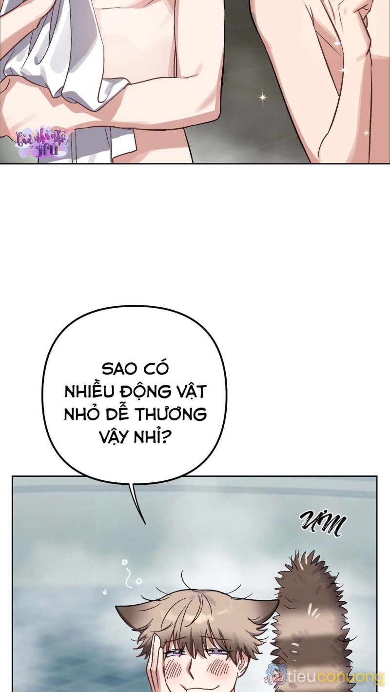 THỎ NHỎ XUẤT TINH TRONG 3 GIÂY (END) Chapter 1 - Page 31