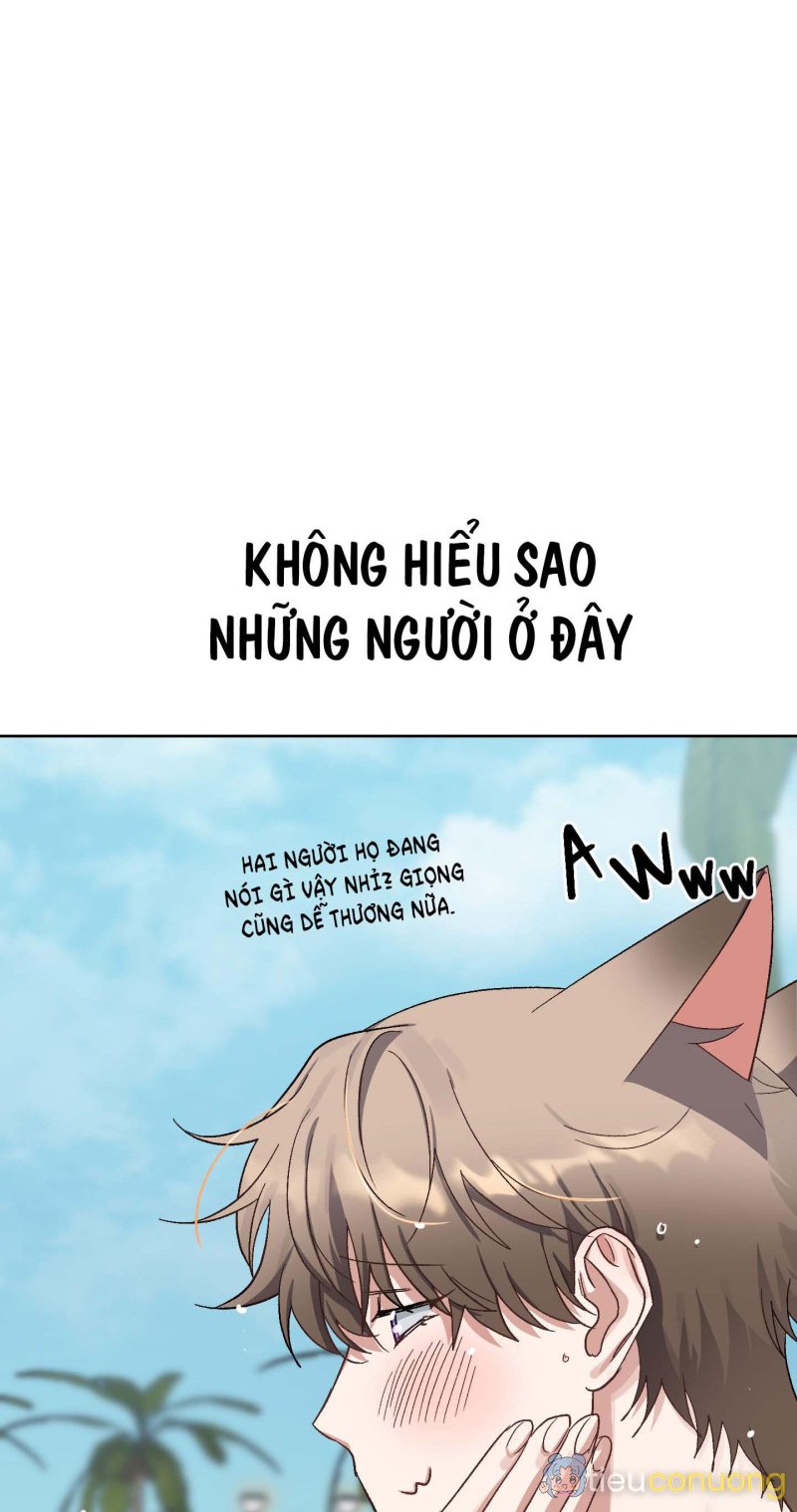 THỎ NHỎ XUẤT TINH TRONG 3 GIÂY (END) Chapter 1 - Page 34