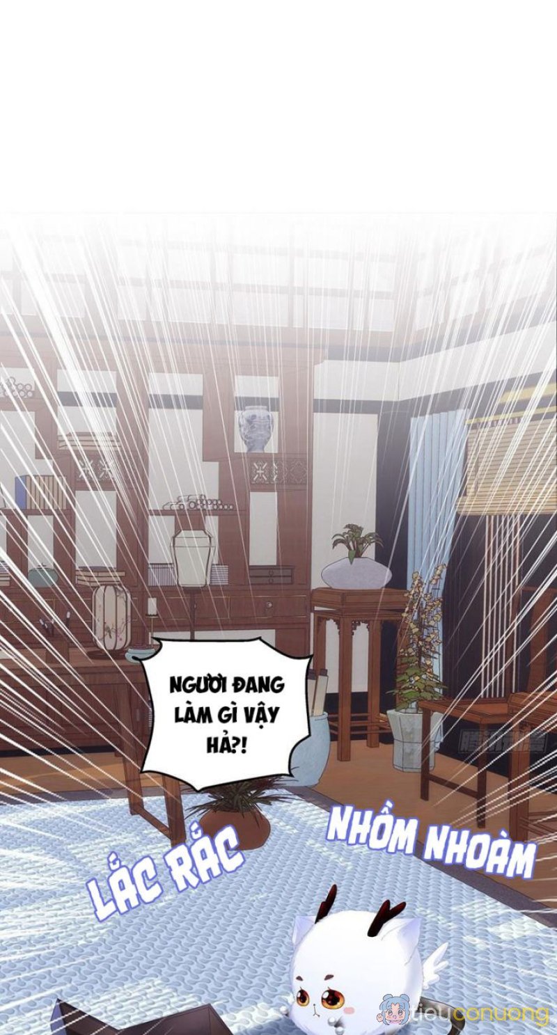 Hắc Hóa Đại Lão Thuần Dưỡng Chỉ Nam Chapter 4 - Page 25