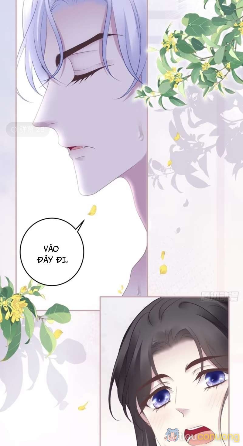 Hắc Hóa Đại Lão Thuần Dưỡng Chỉ Nam Chapter 76 - Page 25