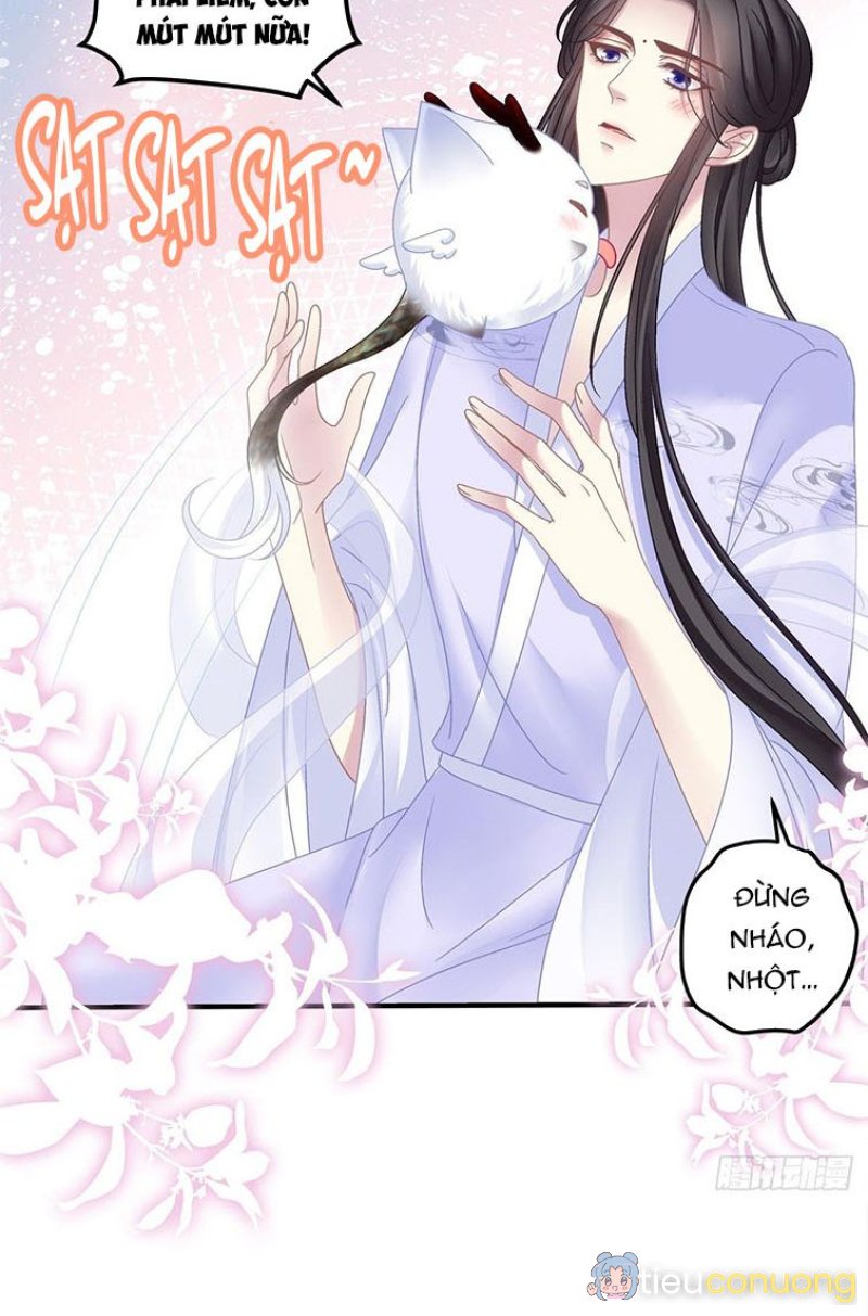 Hắc Hóa Đại Lão Thuần Dưỡng Chỉ Nam Chapter 21 - Page 19