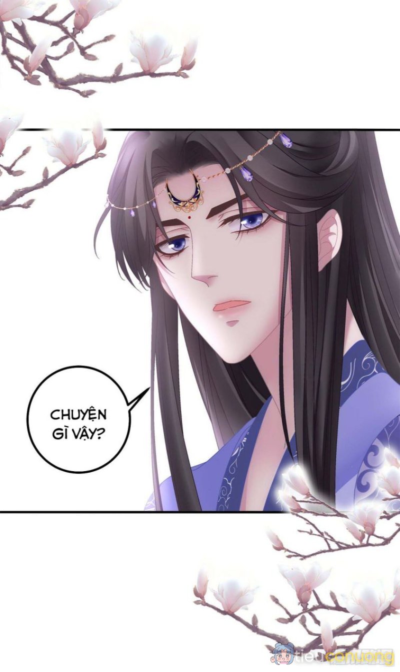 Hắc Hóa Đại Lão Thuần Dưỡng Chỉ Nam Chapter 17 - Page 14