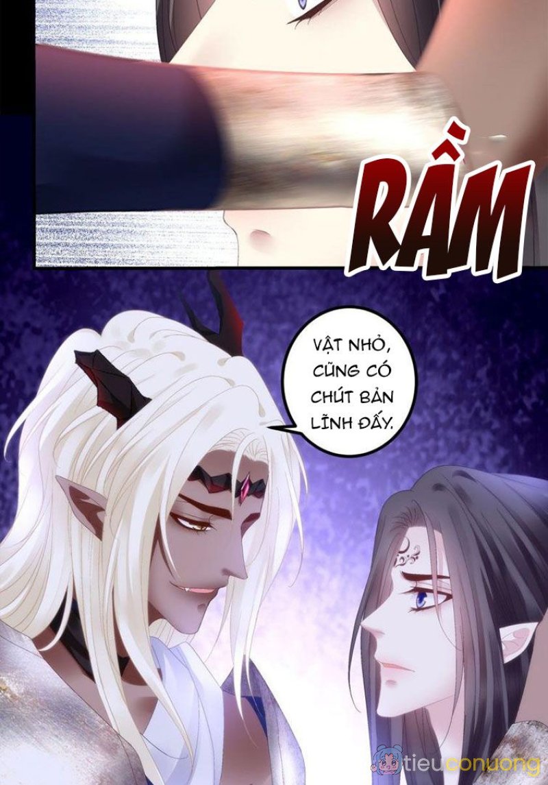 Hắc Hóa Đại Lão Thuần Dưỡng Chỉ Nam Chapter 29 - Page 38