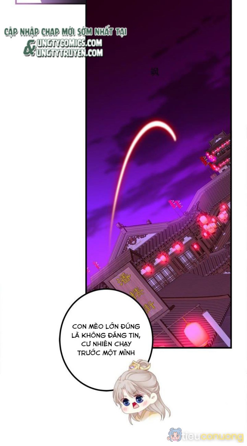 Hắc Hóa Đại Lão Thuần Dưỡng Chỉ Nam Chapter 25 - Page 19