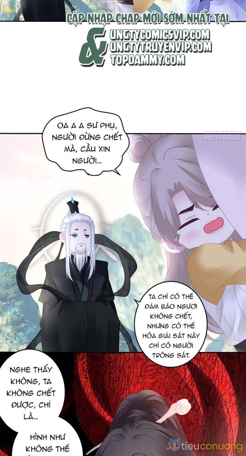 Hắc Hóa Đại Lão Thuần Dưỡng Chỉ Nam Chapter 60 - Page 19