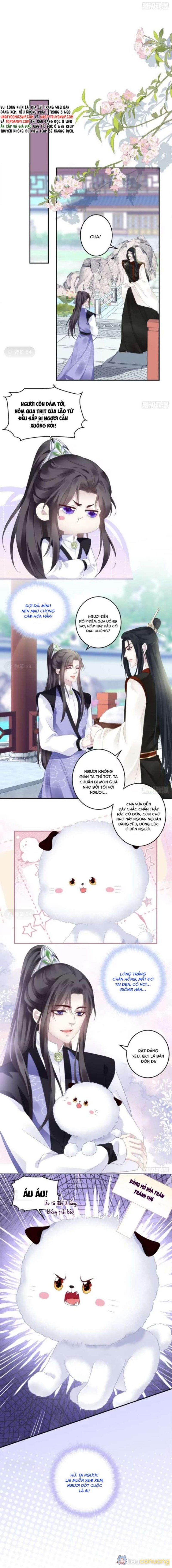 Hắc Hóa Đại Lão Thuần Dưỡng Chỉ Nam Chapter 81 - Page 10