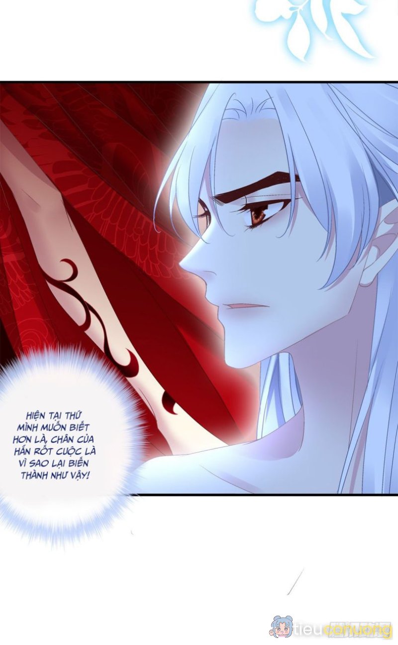 Hắc Hóa Đại Lão Thuần Dưỡng Chỉ Nam Chapter 27 - Page 6