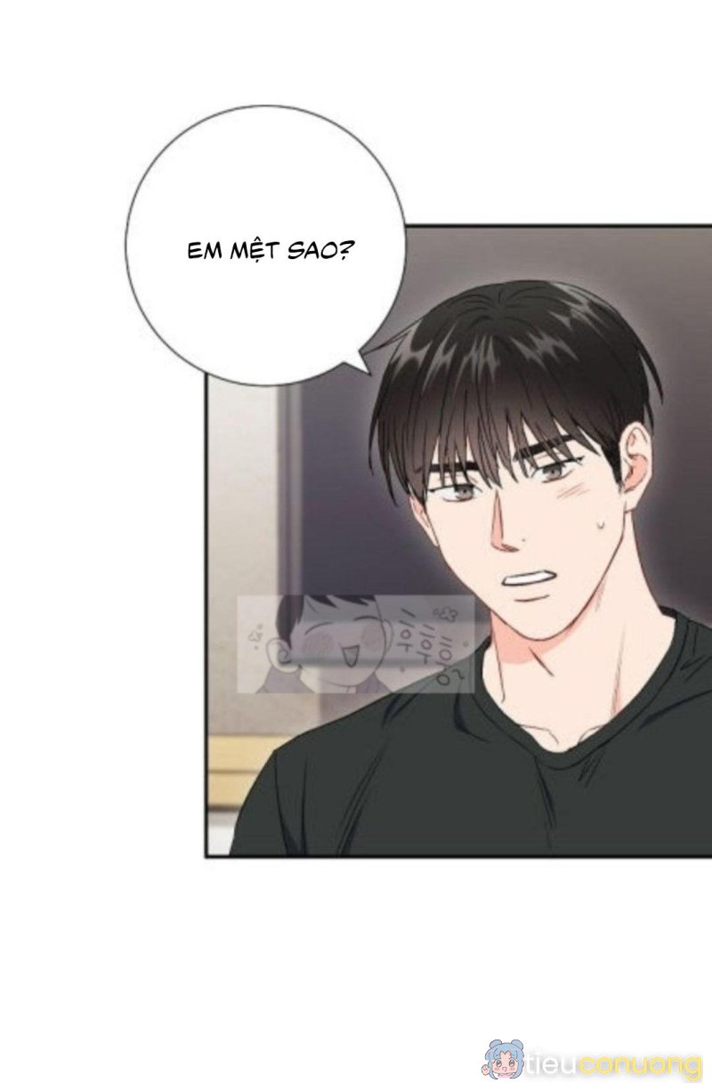 Tình anh em xã hội chủ nghĩa Chapter 44 - Page 30