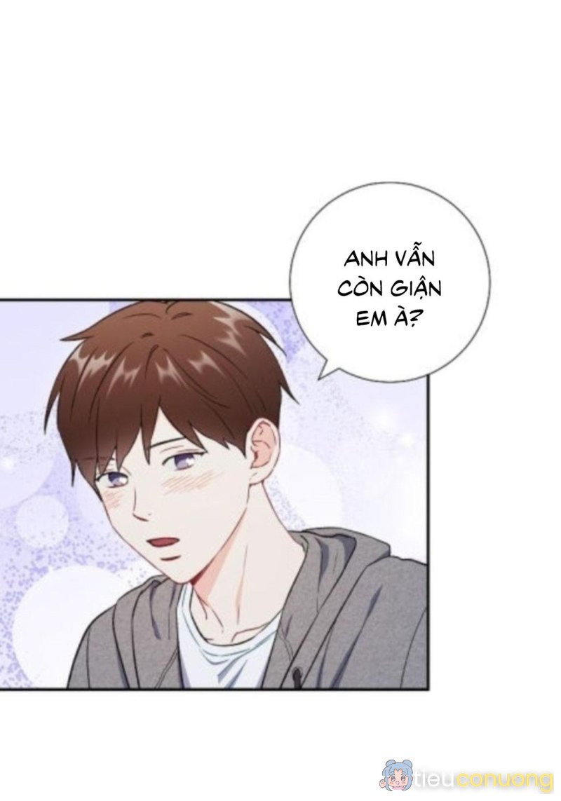 Tình anh em xã hội chủ nghĩa Chapter 42 - Page 11