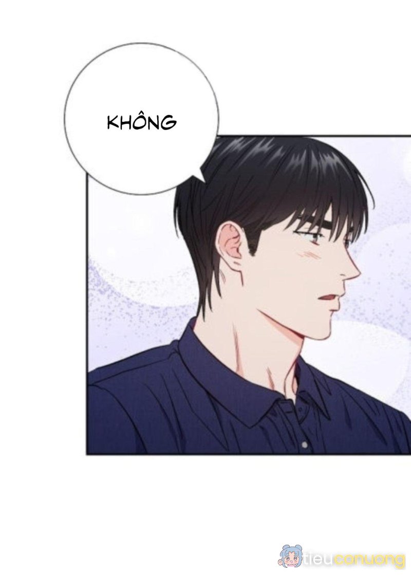 Tình anh em xã hội chủ nghĩa Chapter 42 - Page 12