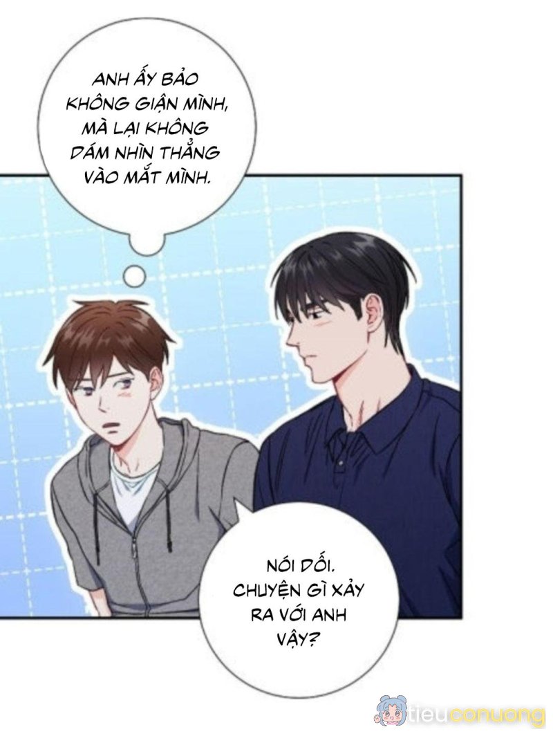 Tình anh em xã hội chủ nghĩa Chapter 42 - Page 13