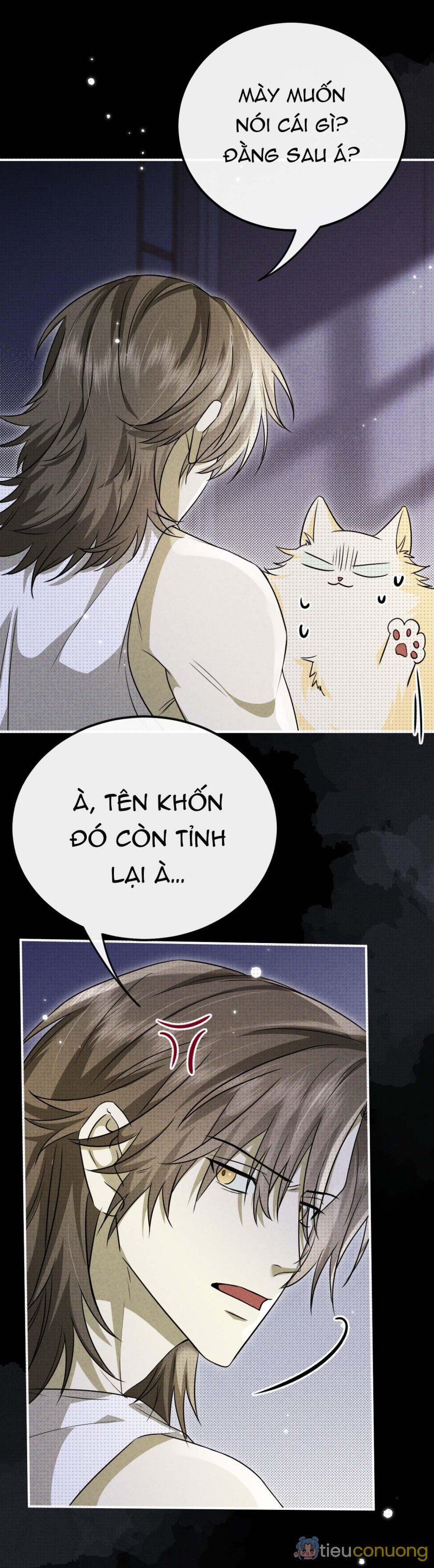 Chí Âm Chí Dương (END) Chapter 27 - Page 15