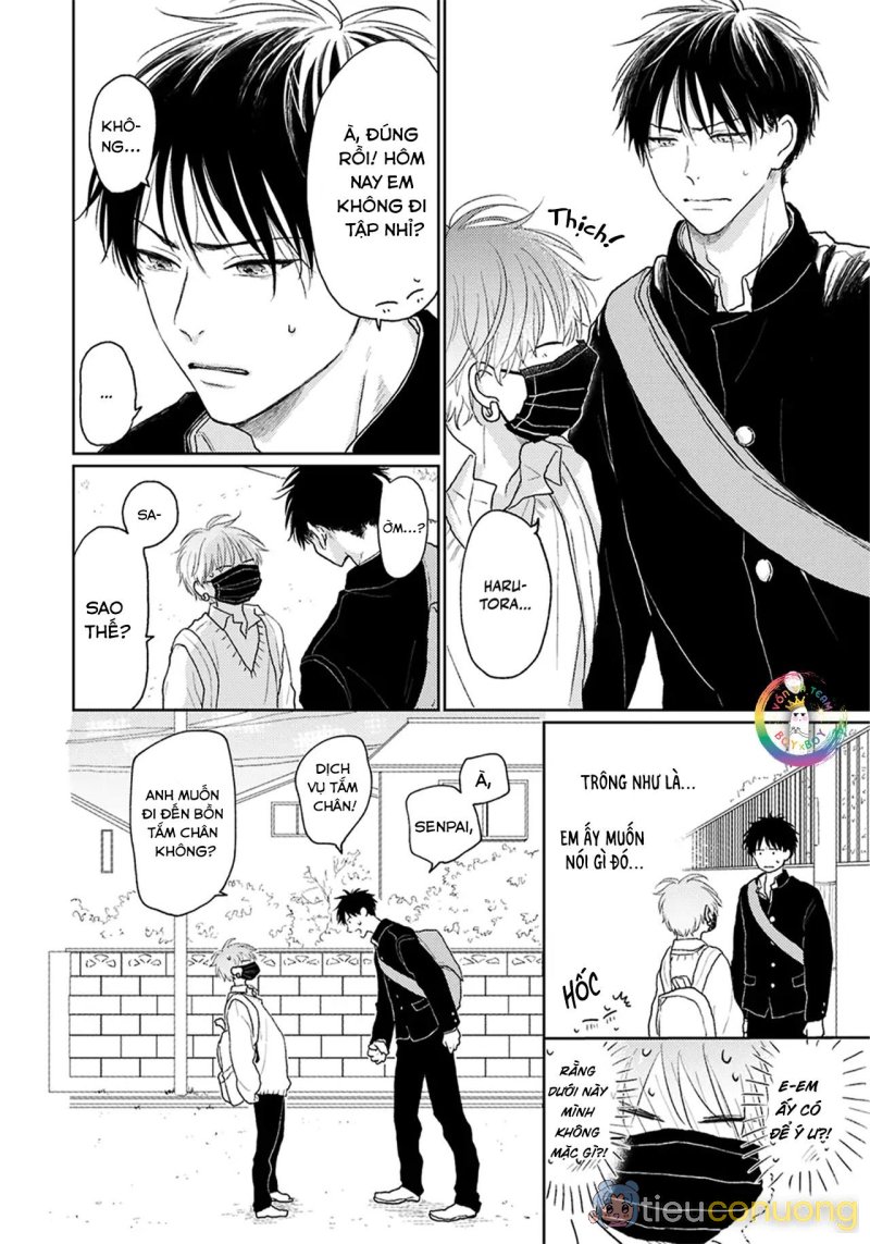 Đợi Chút Đã, Harutora-kun (END) Chapter 3 - Page 13