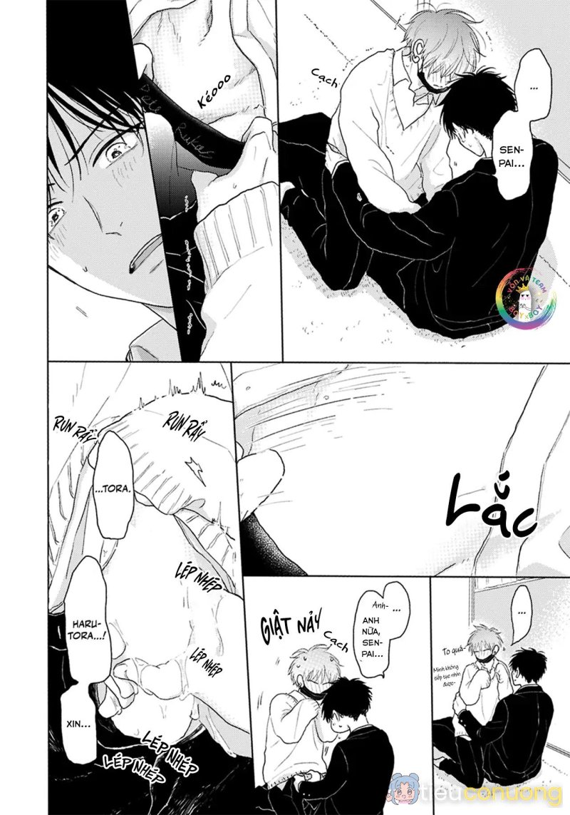 Đợi Chút Đã, Harutora-kun (END) Chapter 3 - Page 41