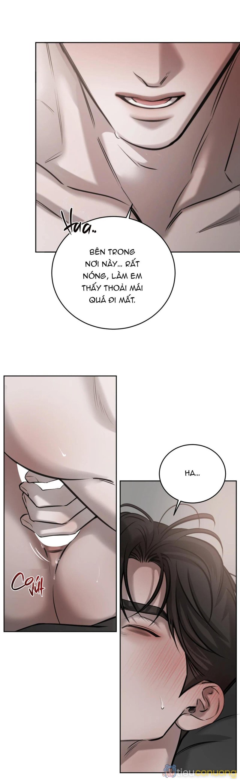 GIỮA TÌNH CỜ VÀ ĐỊNH MỆNH Chapter 48 - Page 12