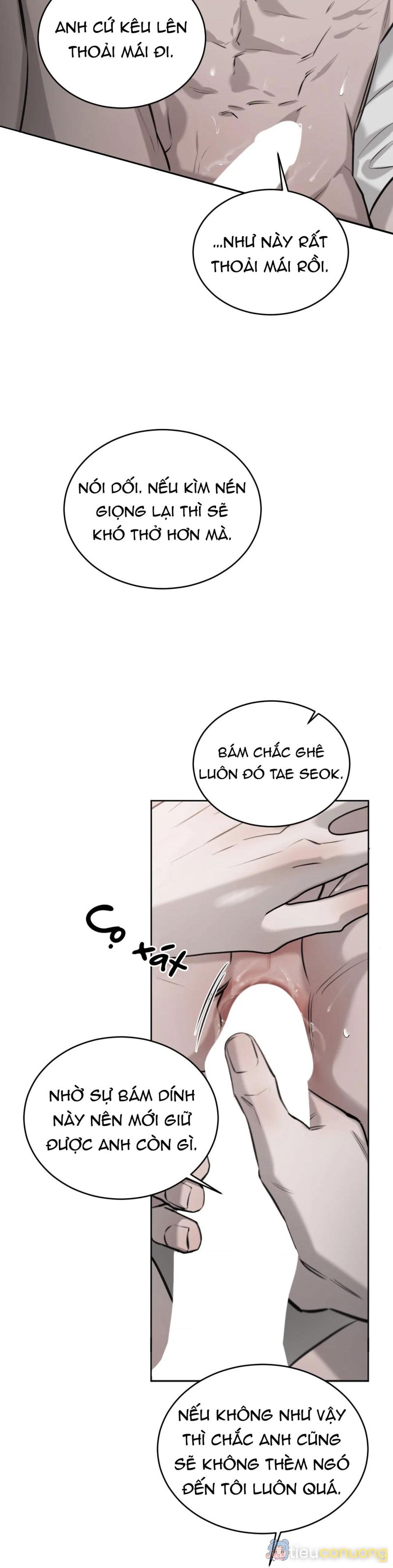 GIỮA TÌNH CỜ VÀ ĐỊNH MỆNH Chapter 32 - Page 8