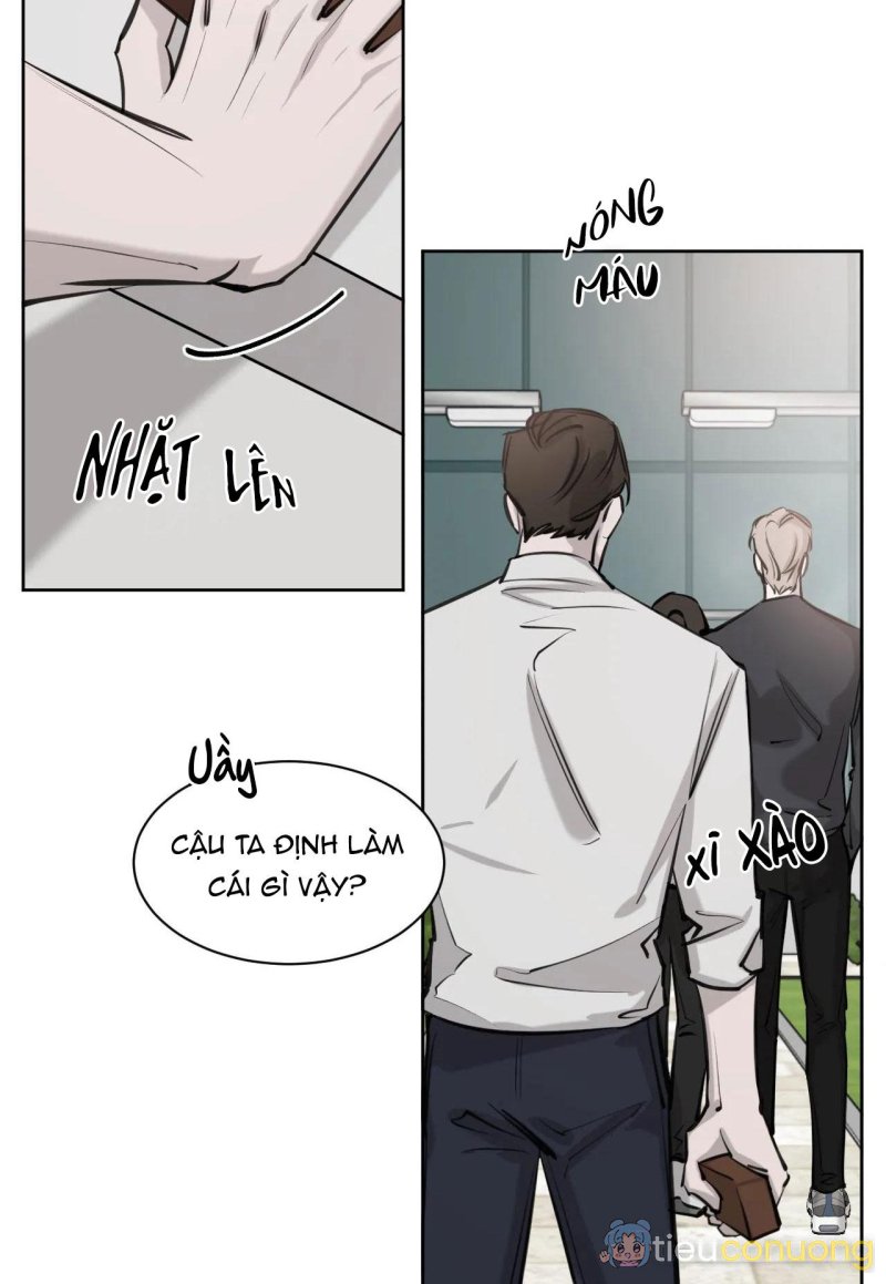 GIỮA TÌNH CỜ VÀ ĐỊNH MỆNH Chapter 6 - Page 13