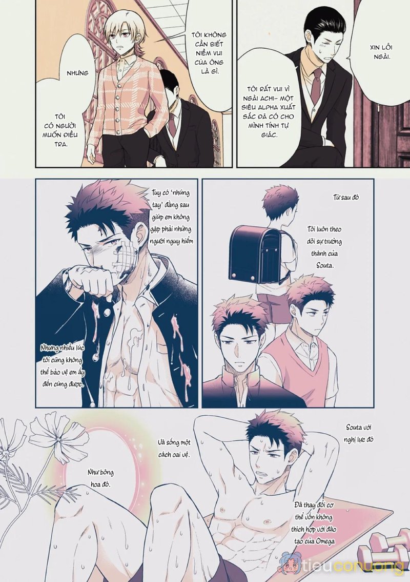 Làm tình với phục vụ là Omega Chapter 4 - Page 12