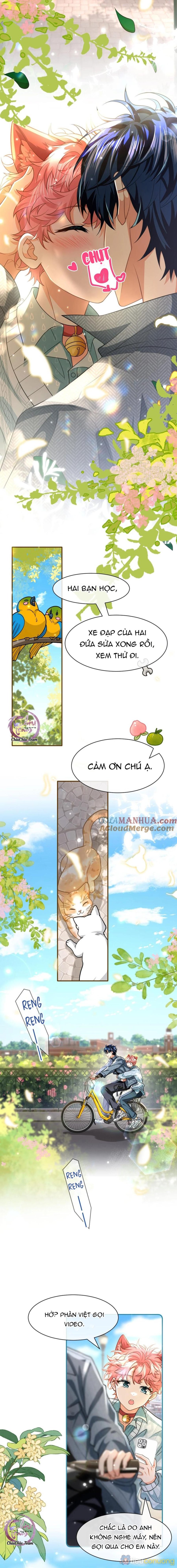 Tin Tức Tố Nói Chúng Ta Không Có Khả Năng Chapter 100 - Page 4