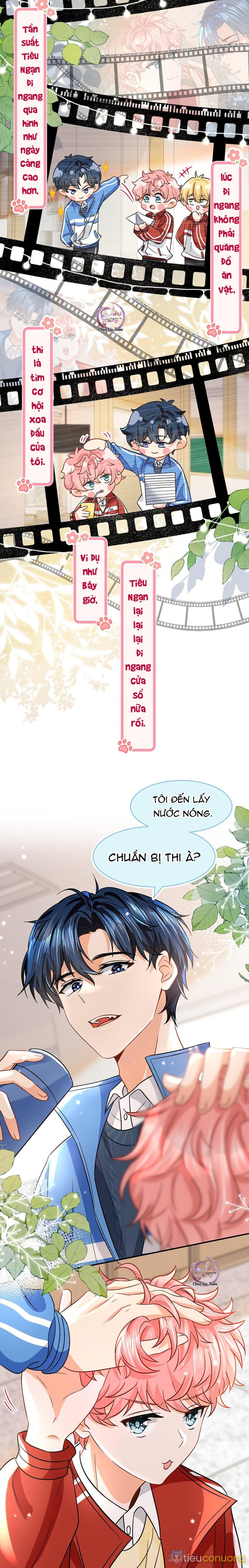 Tin Tức Tố Nói Chúng Ta Không Có Khả Năng Chapter 53 - Page 4