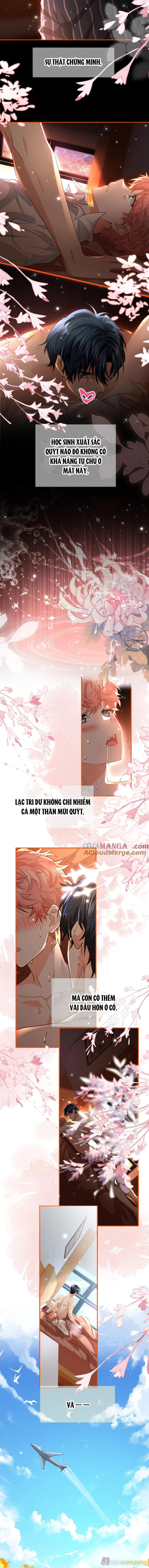 Tin Tức Tố Nói Chúng Ta Không Có Khả Năng Chapter 101 - Page 5