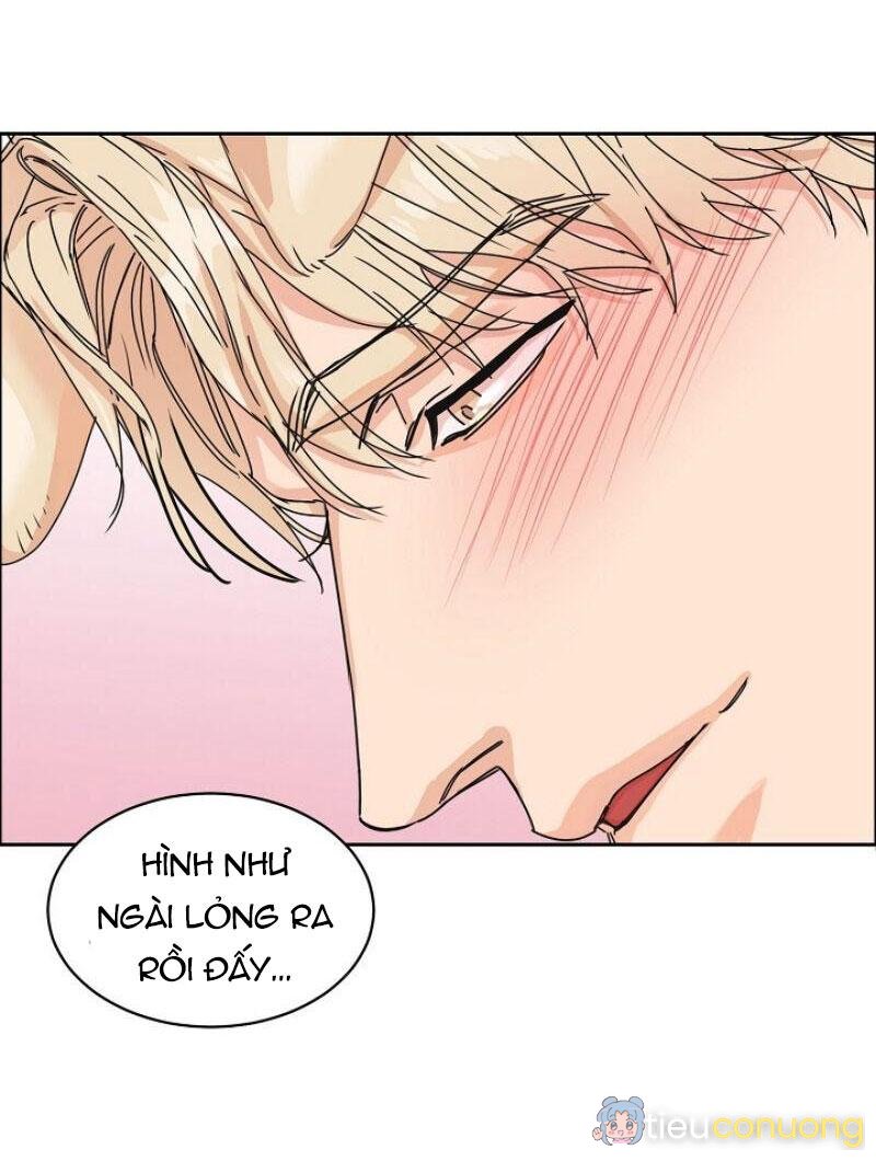 Tuyển Tập Manhwa 18+ Chapter 2 - Page 38