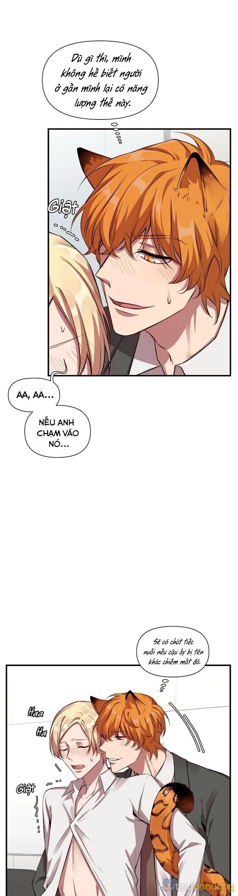 Tuyển Tập Manhwa 18+ Chapter 13 - Page 32