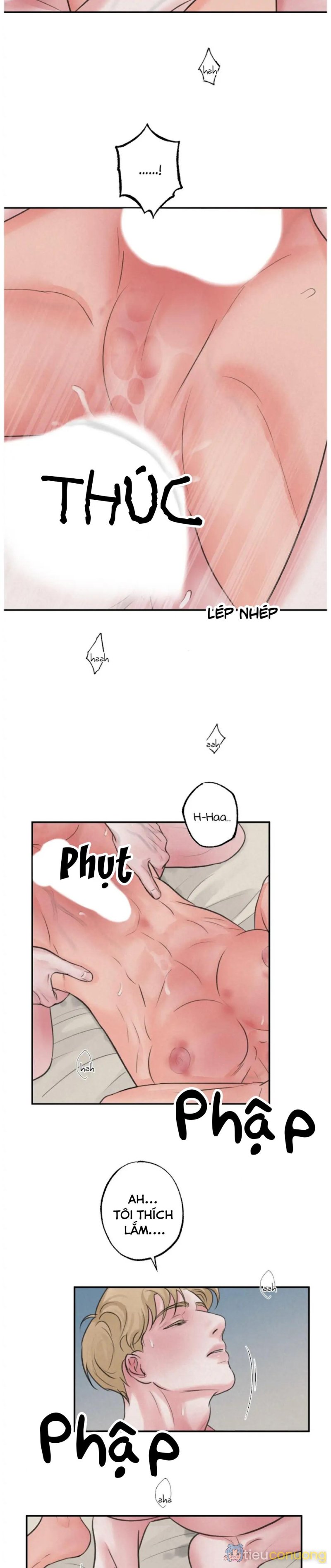 Tuyển Tập Manhwa 18+ Chapter 42 - Page 2