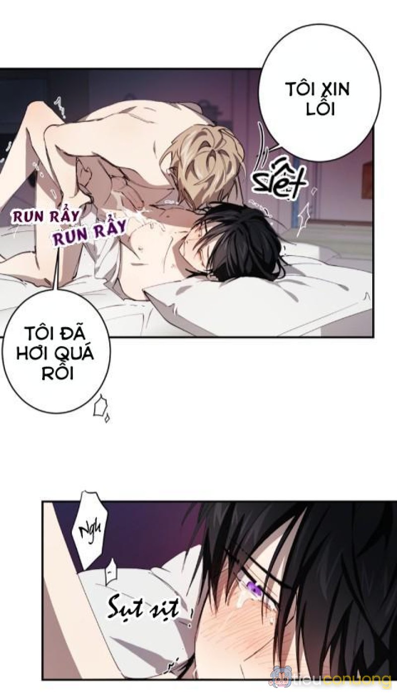 Tuyển Tập Manhwa 18+ Chapter 11 - Page 31