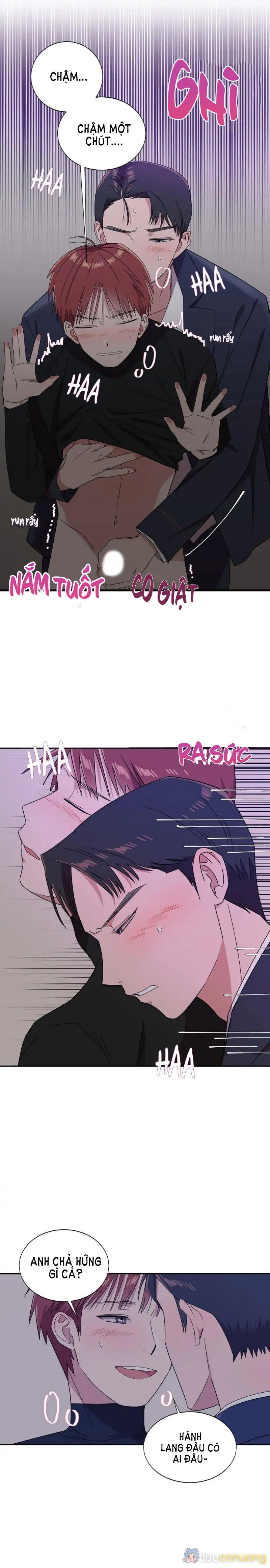 Tuyển Tập Manhwa 18+ Chapter 49 - Page 4