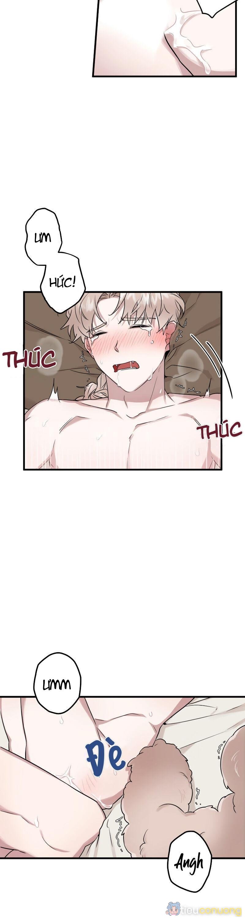 Tuyển Tập Manhwa 18+ Chapter 6 - Page 2