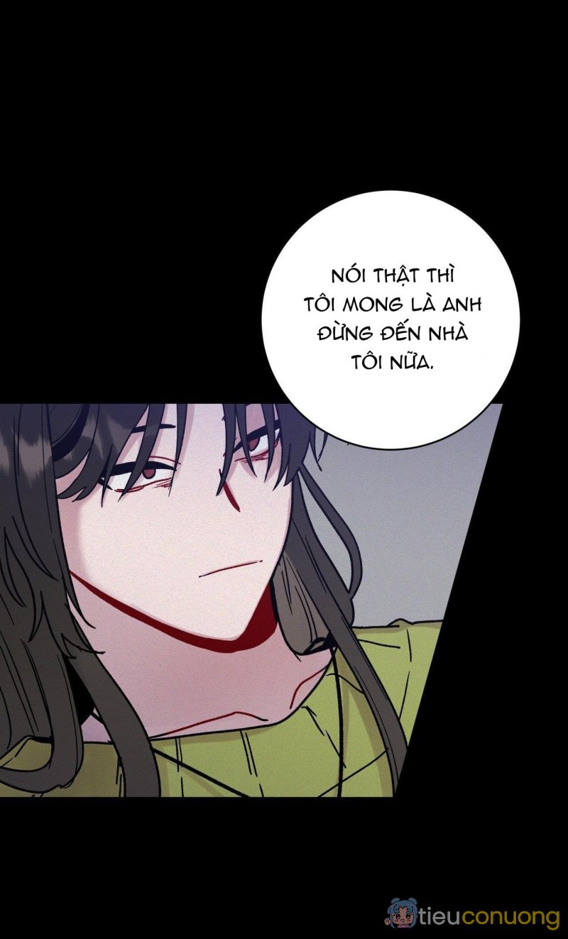 CƠN MƯA RÀO MÙA HẠ Chapter 55 - Page 21