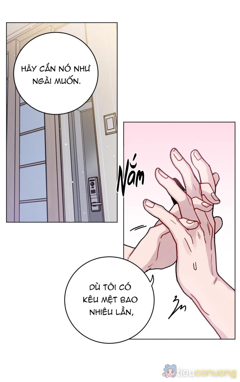 CƠN MƯA RÀO MÙA HẠ Chapter 20 - Page 44