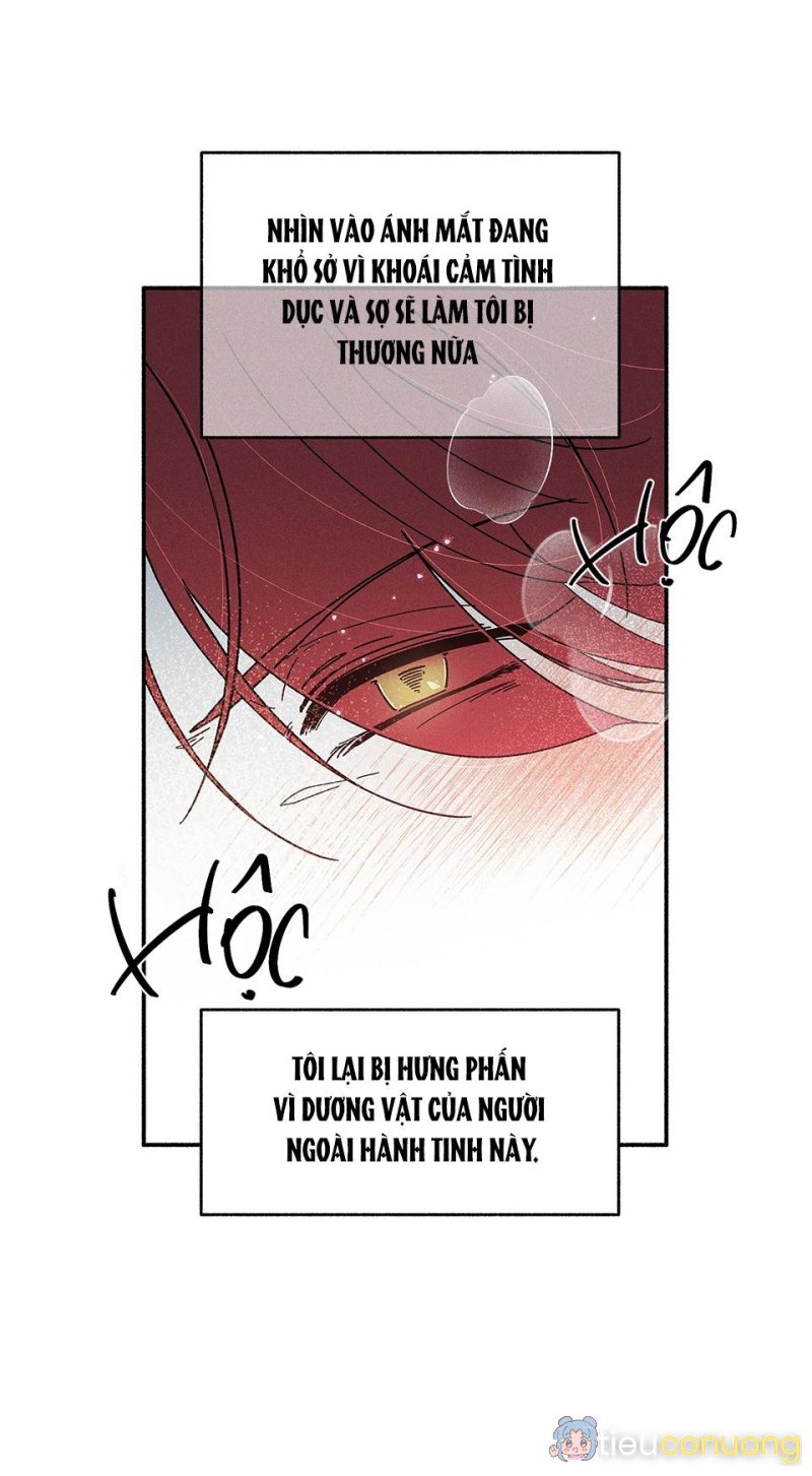 LÃNG MẠN KHÔNG TRỌNG LỰC Chapter 12 - Page 49