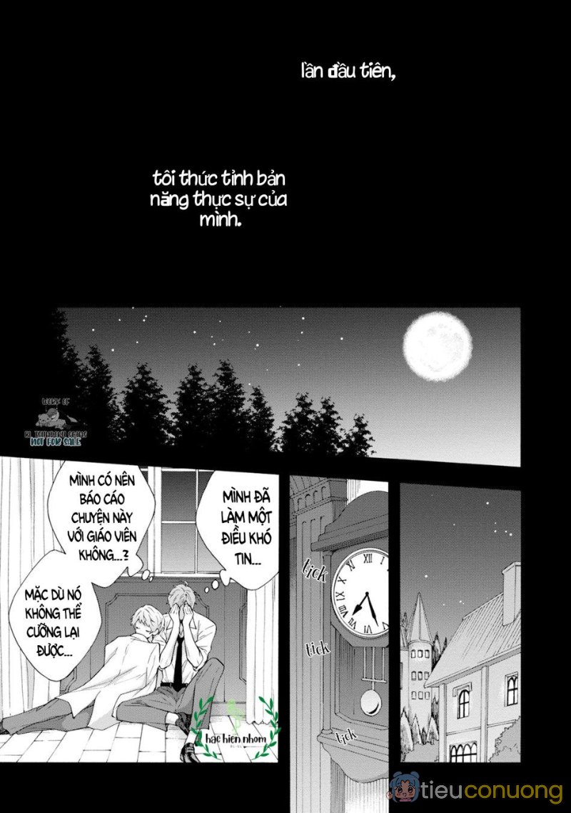 Mèo đen kí túc, mịt mù đêm đen Chapter 9 - Page 33