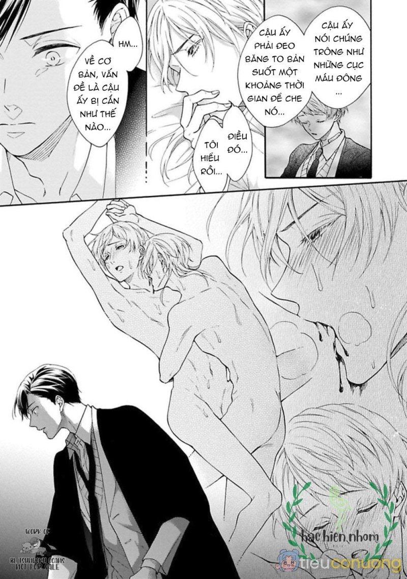 Mèo đen kí túc, mịt mù đêm đen Chapter 6 - Page 33