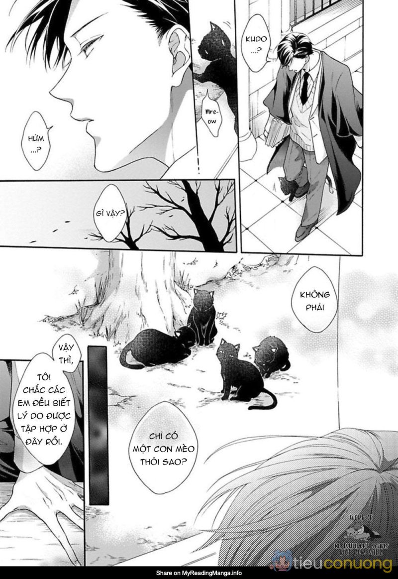 Mèo đen kí túc, mịt mù đêm đen Chapter 6 - Page 39