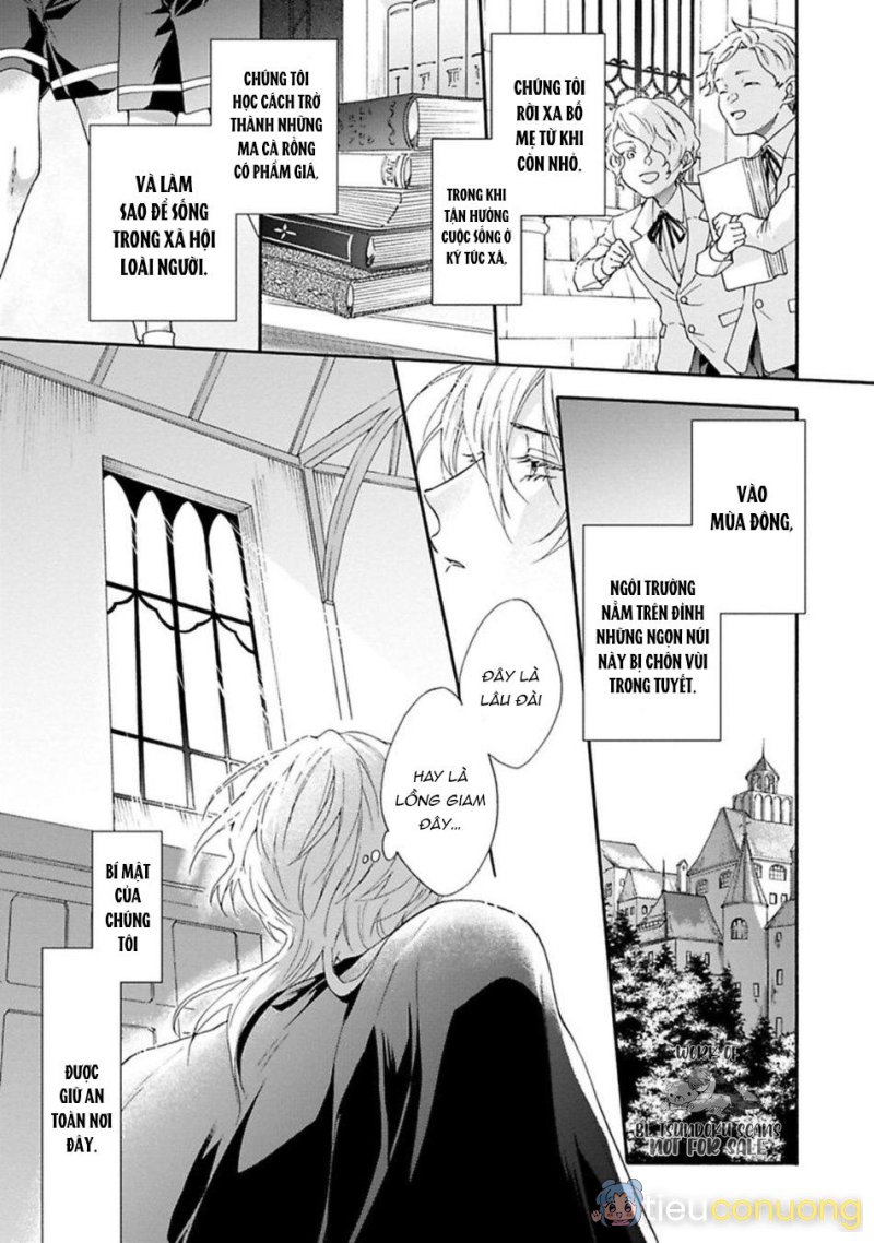 Mèo đen kí túc, mịt mù đêm đen Chapter 7 - Page 7