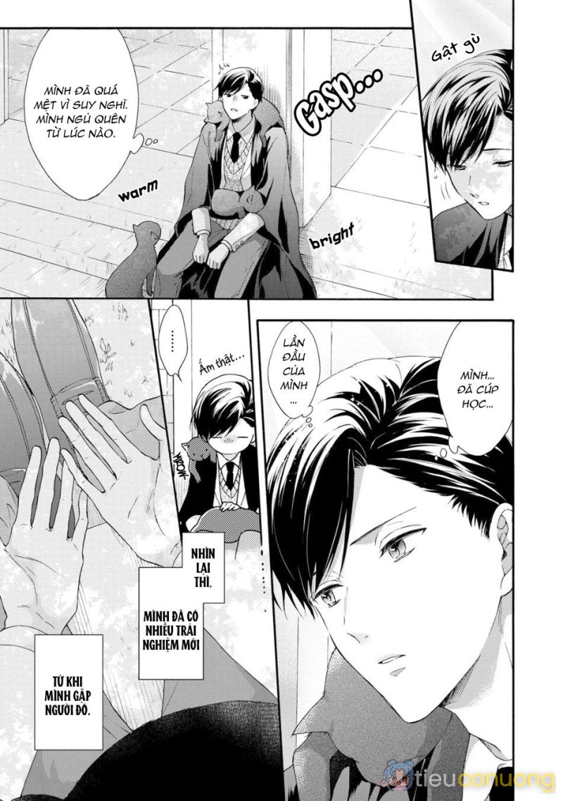 Mèo đen kí túc, mịt mù đêm đen Chapter 8 - Page 11